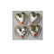 Sweet Magic Foods Kaju Dil Pasand